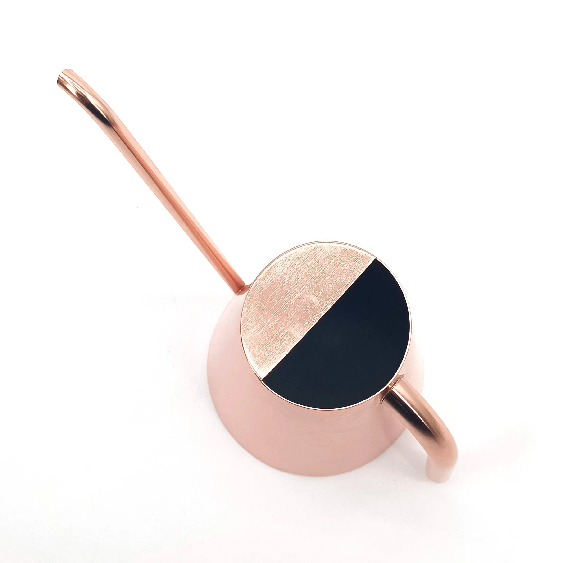 Factory Wholesale 1 Litre Stainless Steel Indoor House Household Plants Large Watering Cans in Bulk