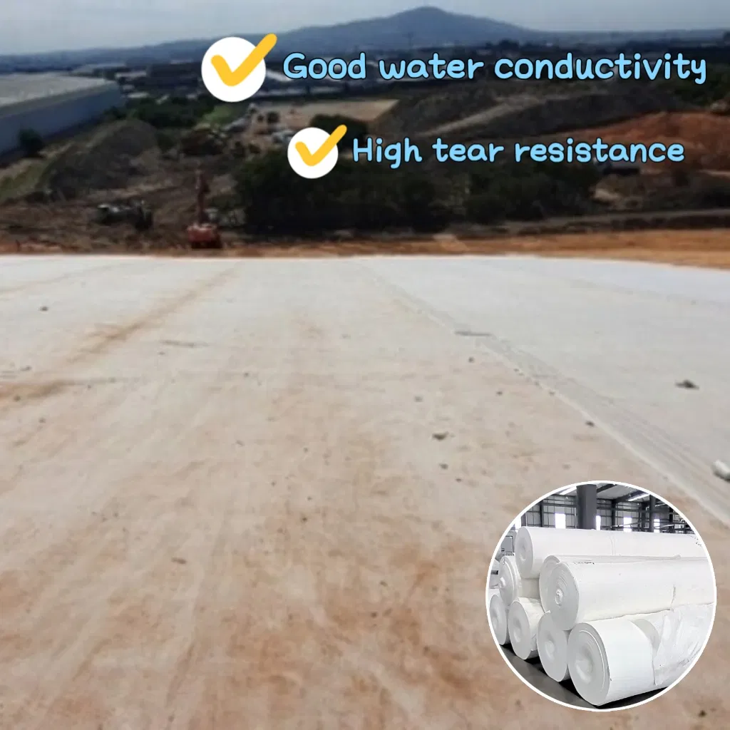High Quality/Permeable Geotextiles for Landfills/Solid Waste Disposal