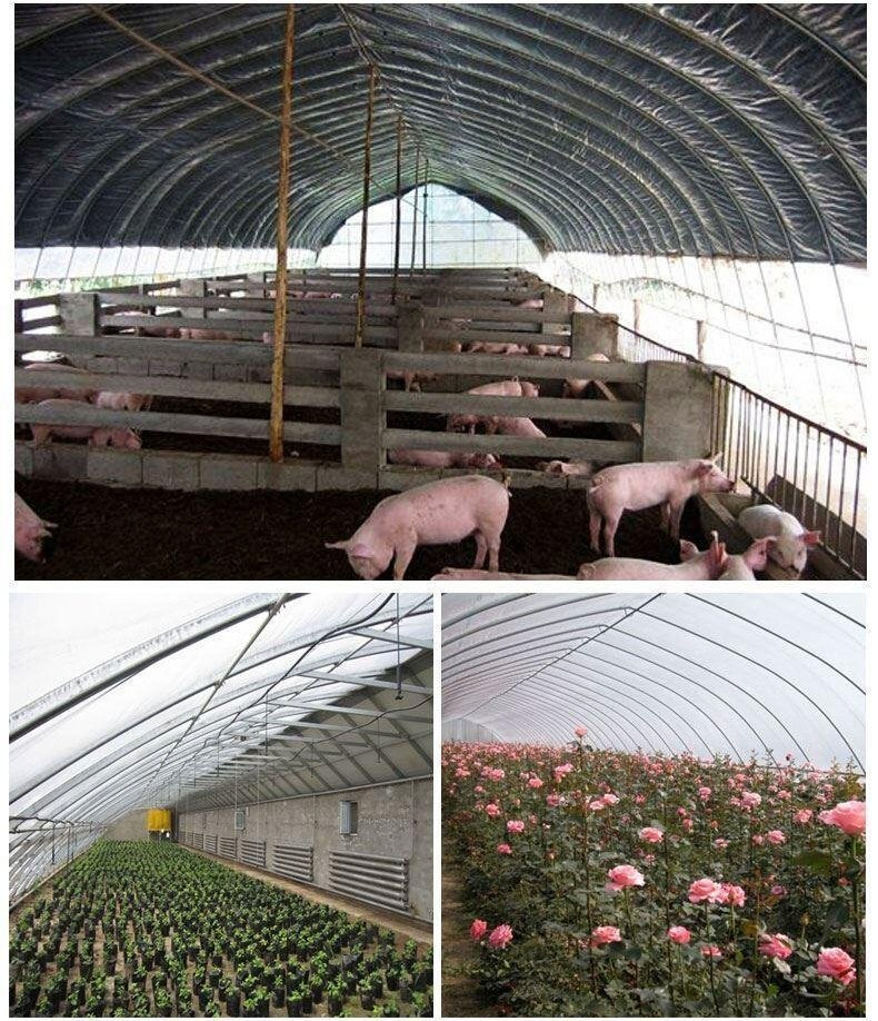 Sunlight Tunnels Plastic Film Greenhouse Single Tunnel Green House