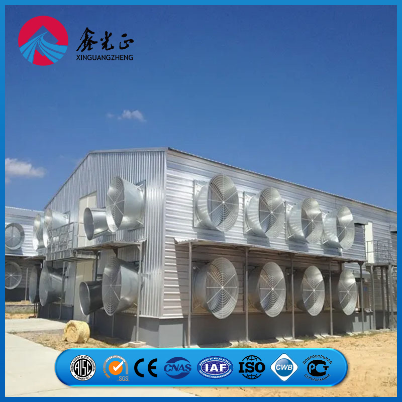 Stability-Optimized Steel Frame System Chicken Prefab Metal Farming Equipment Steel Structure Sheep/Goat/Pig/Hog/Cattle/Cow/Poultry House/Shed