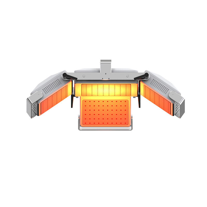 Professional Laser Hair Growth Treatment Machine Hair Loss Treatment Laser