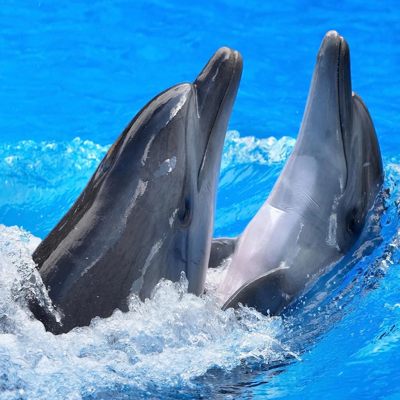 3D Injecting Painting Tiles for Your Home Decoration