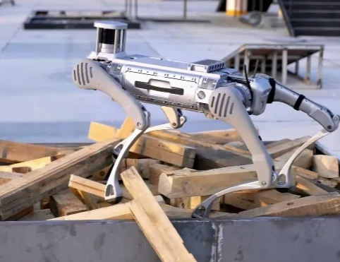 Yh-C62 B2 Four-Legged Mechanical Dog Robot Dog