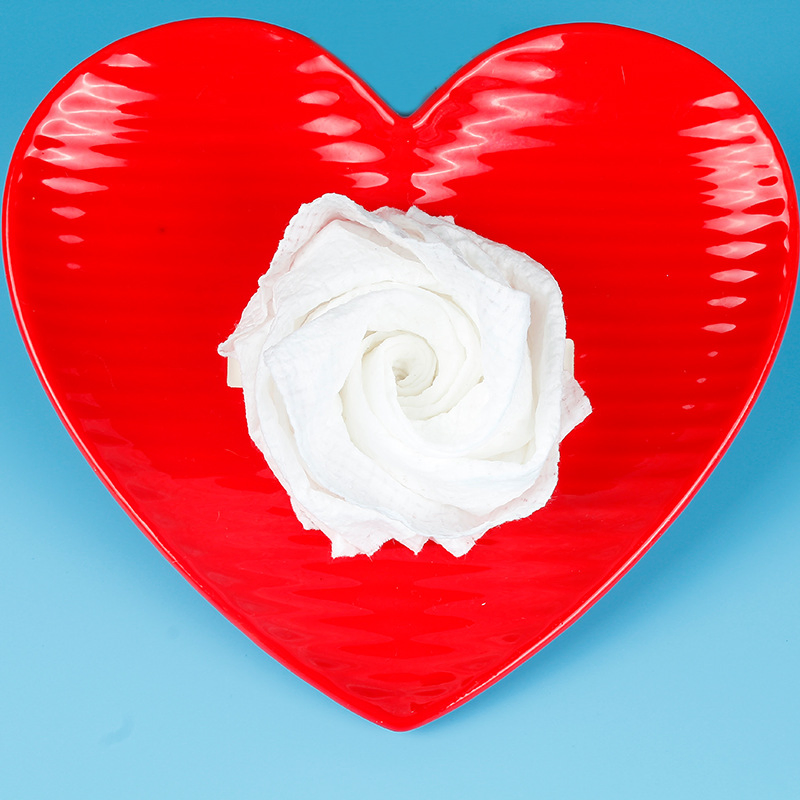 Disposable Compressed Facial Bathroom Health Beauty Towel