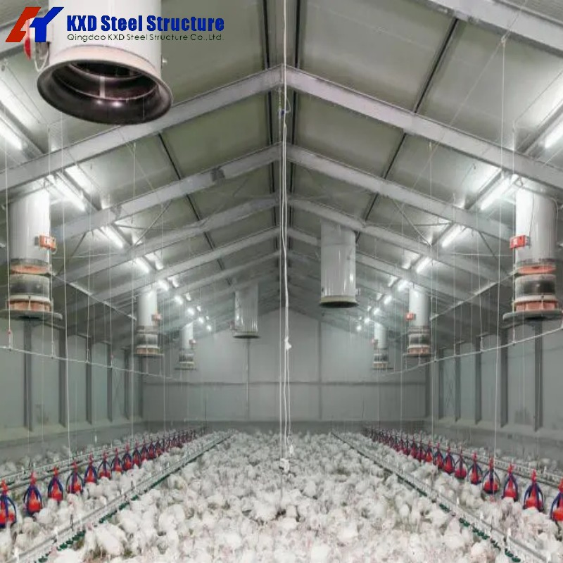 Prefabricated Structural Steel Galvanized Broiler House