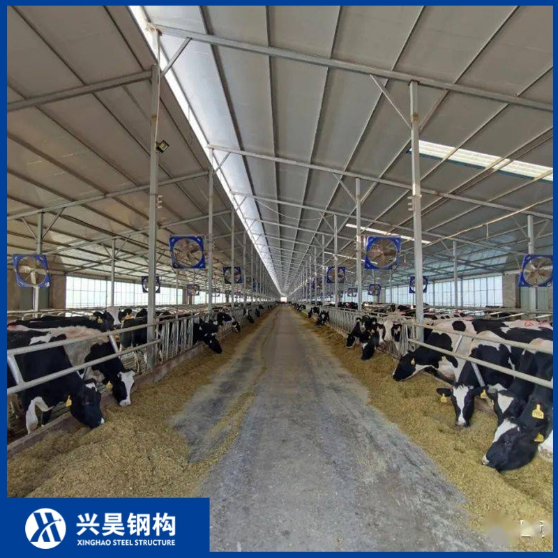 Precision-Welded Steel Column Prefab Metal Storage Farming Equipment Steel Structure Sheep/Goat/Pig/Hog/Cattle/Cow/Poultry House/Shed