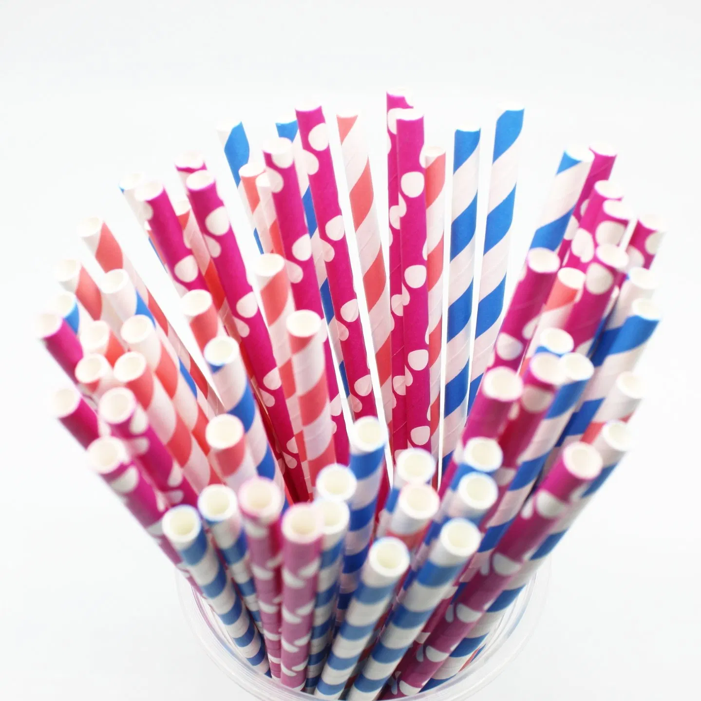 Biodegradable and Recycled Paper Straws