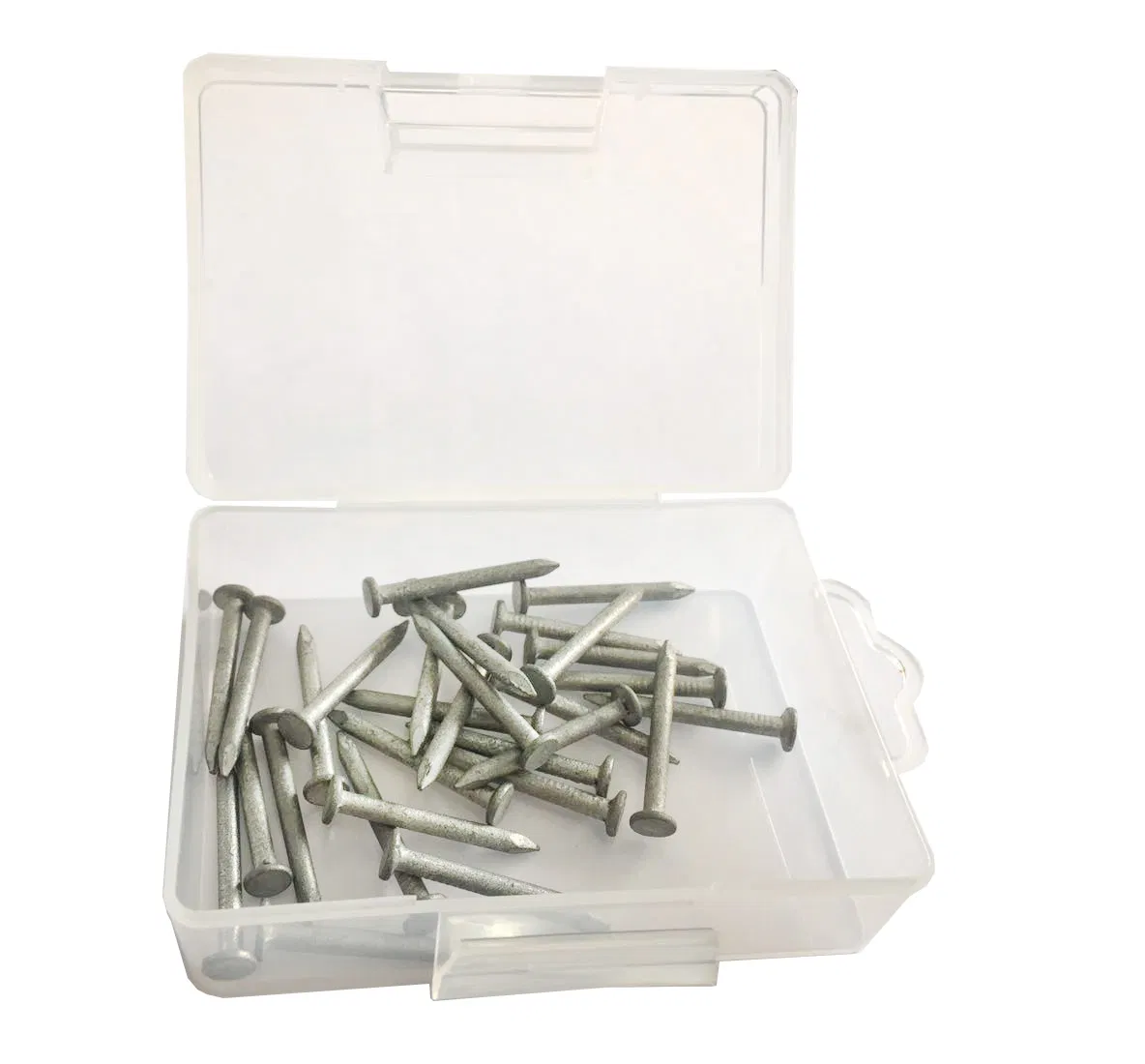 Cheap Price Galvanized Common Nail Factory