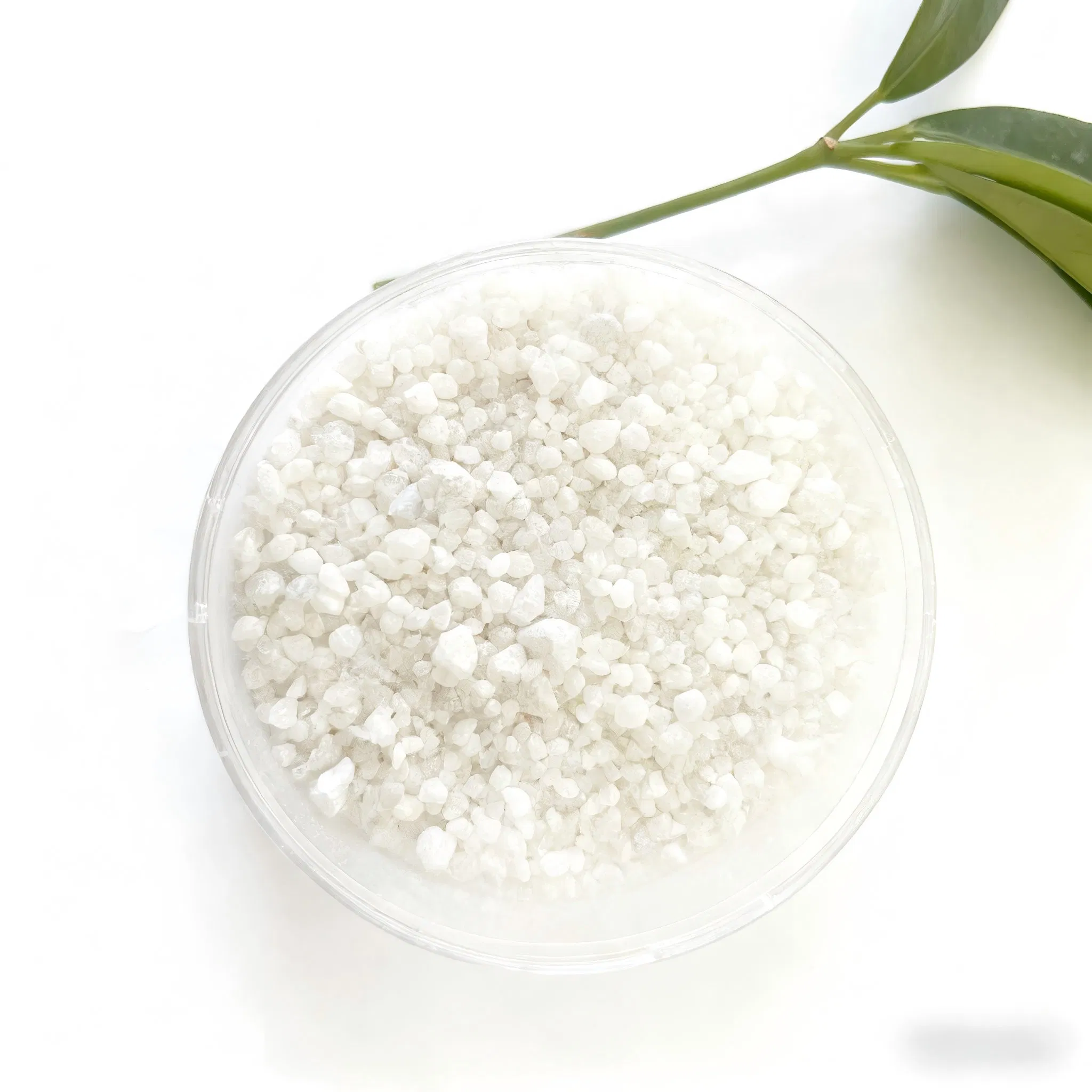 Cheap Ground Limestone (CaCO3 Powder) for Eco-Friendly Building Applications