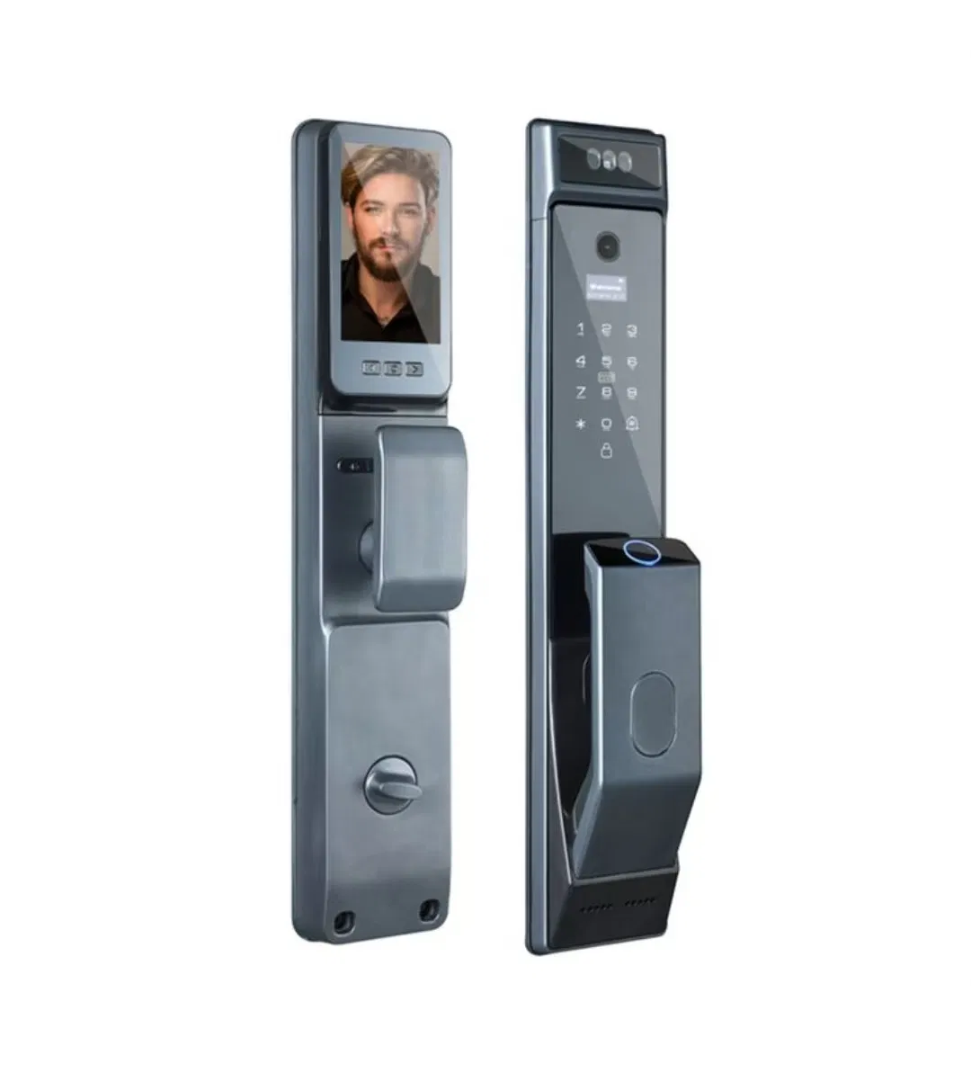 Industrial-Strength Anti-Violence Smart Door Lock