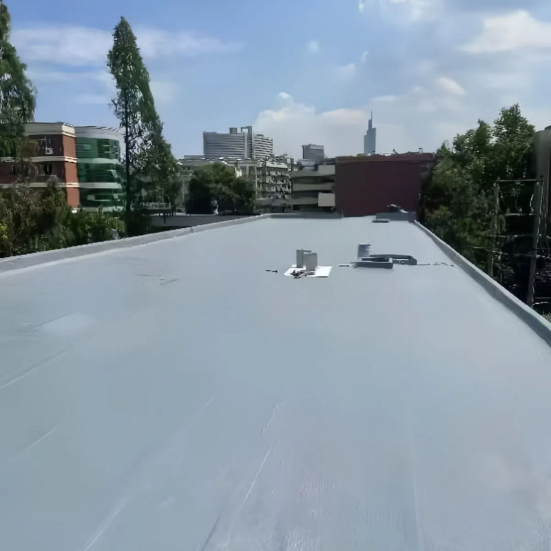 One-Component Polyurea Waterproof Roofing Coating for Metal Concrete Surfaces for Wall Repair