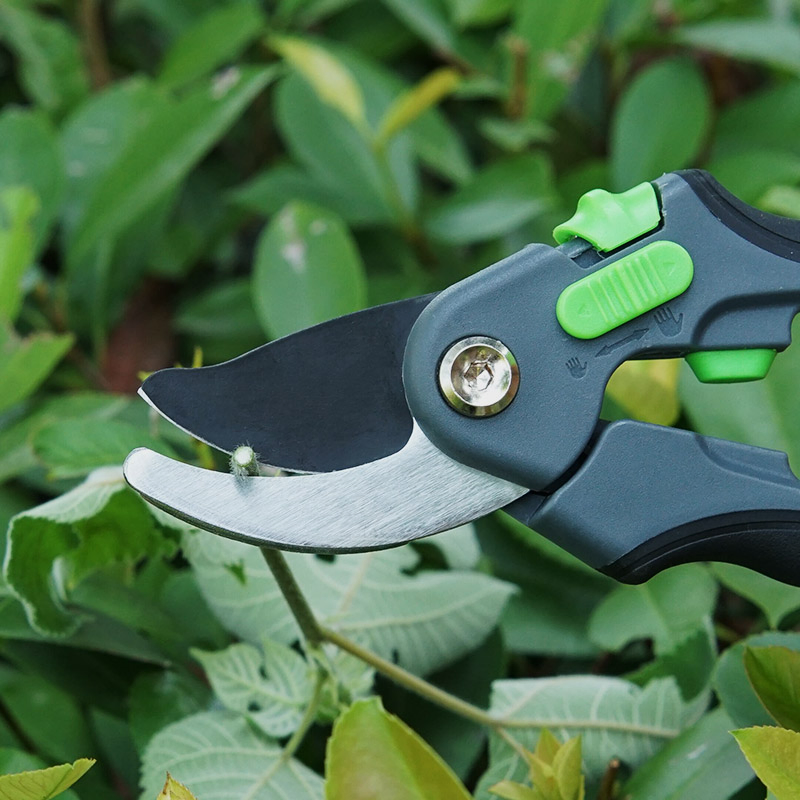 Wali SSR 3108 Hot-Selling Sk5 Blade Gardening Pruning Shears Hand Pruner Fruit Branches Flower Trees Tools Trimming Gardening Scissors Garden Tools