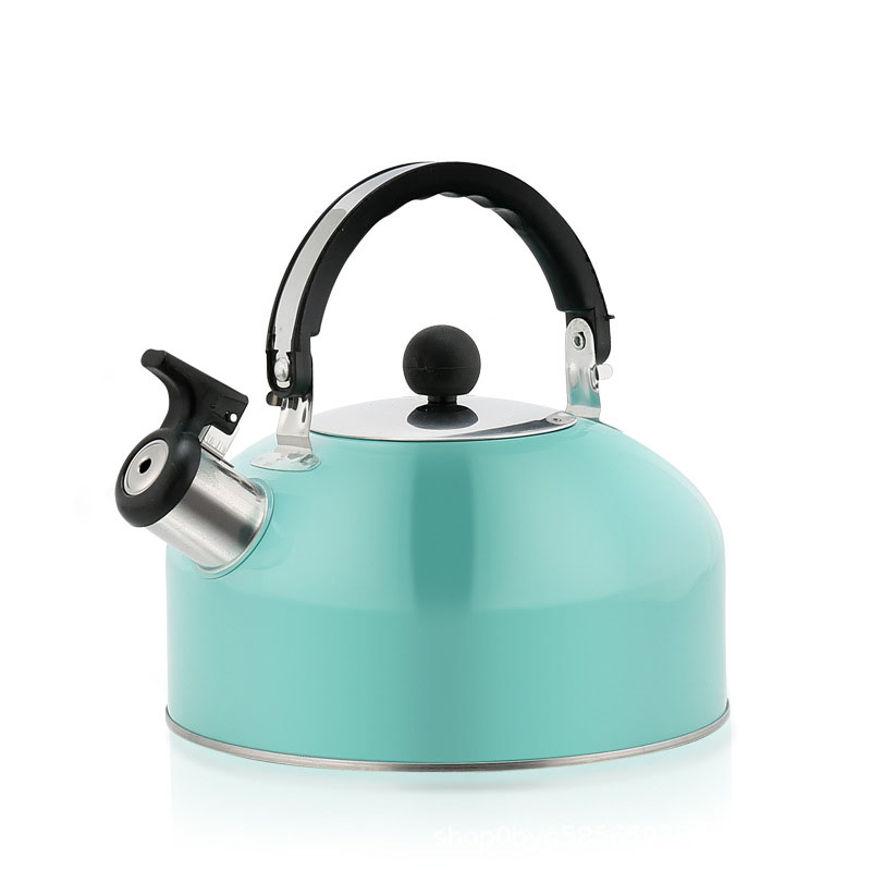 Stainless Steel Flat Bottom 3L Large Capacity Whistle Kettle