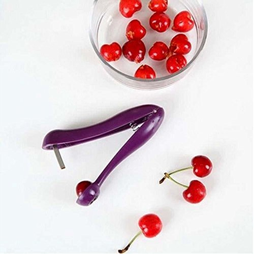 Cherry Pitter PP