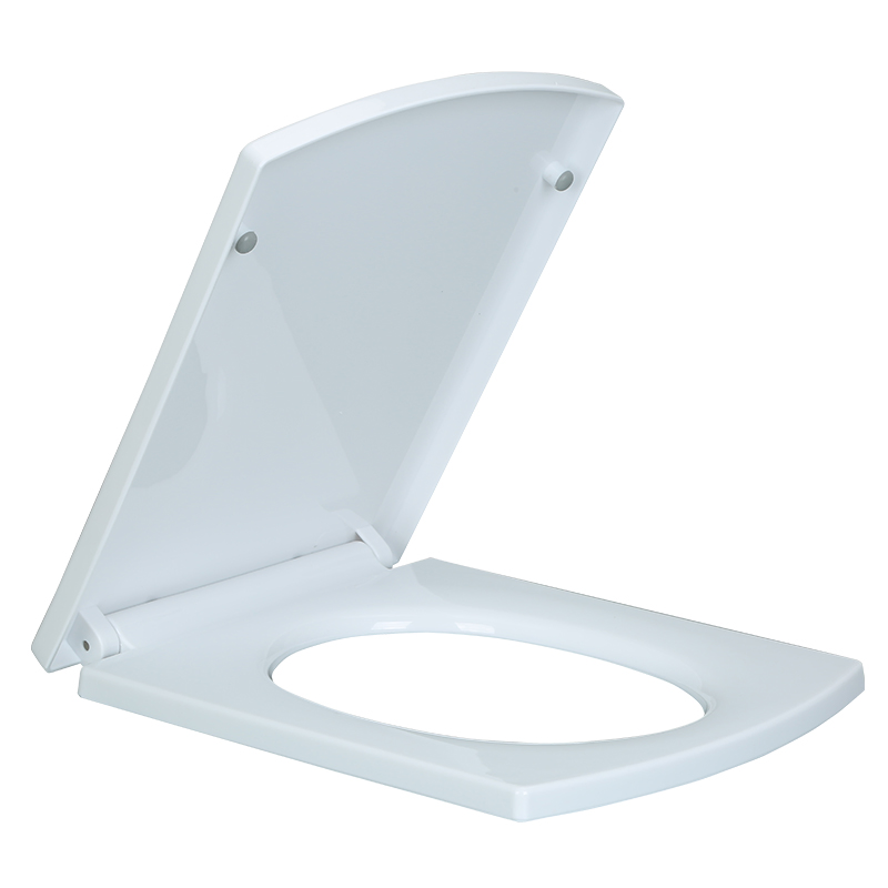 Fluor New Sanitary Ware Accessories Toilet Seat and Cover