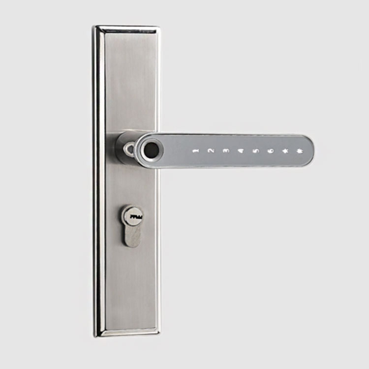 Biometrics Tt Lock APP Double Fingerprint Smart Door Lock