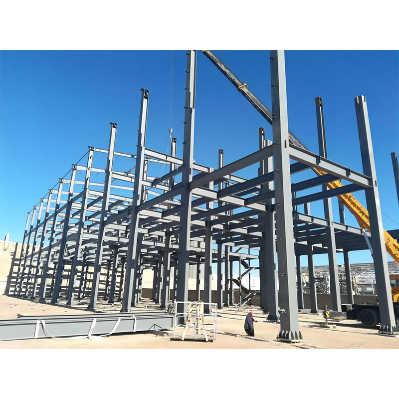 Low Cost Factory Steel Structures Prefab Industrial Cold Storage Warehouse