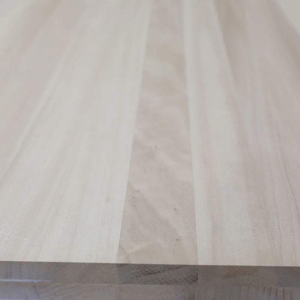 Premium Poplar Boards Manufacturer Bulk Supply Available