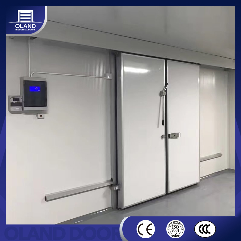 Low Temperature Walk in Cooler Cold Storage Sliding Door Customized Galvanized/Stainless Steel Thermal Insulation Health Care Freezer Room for Hospital Workshop
