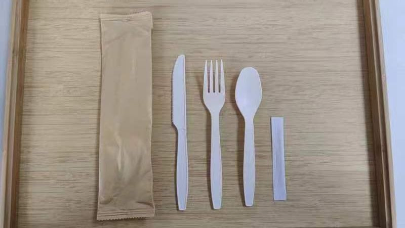 Bio-Based Plastic Disposable Series 6" Spoon Knife Fork Wrapped Cutlery Set Kit 6 in 1