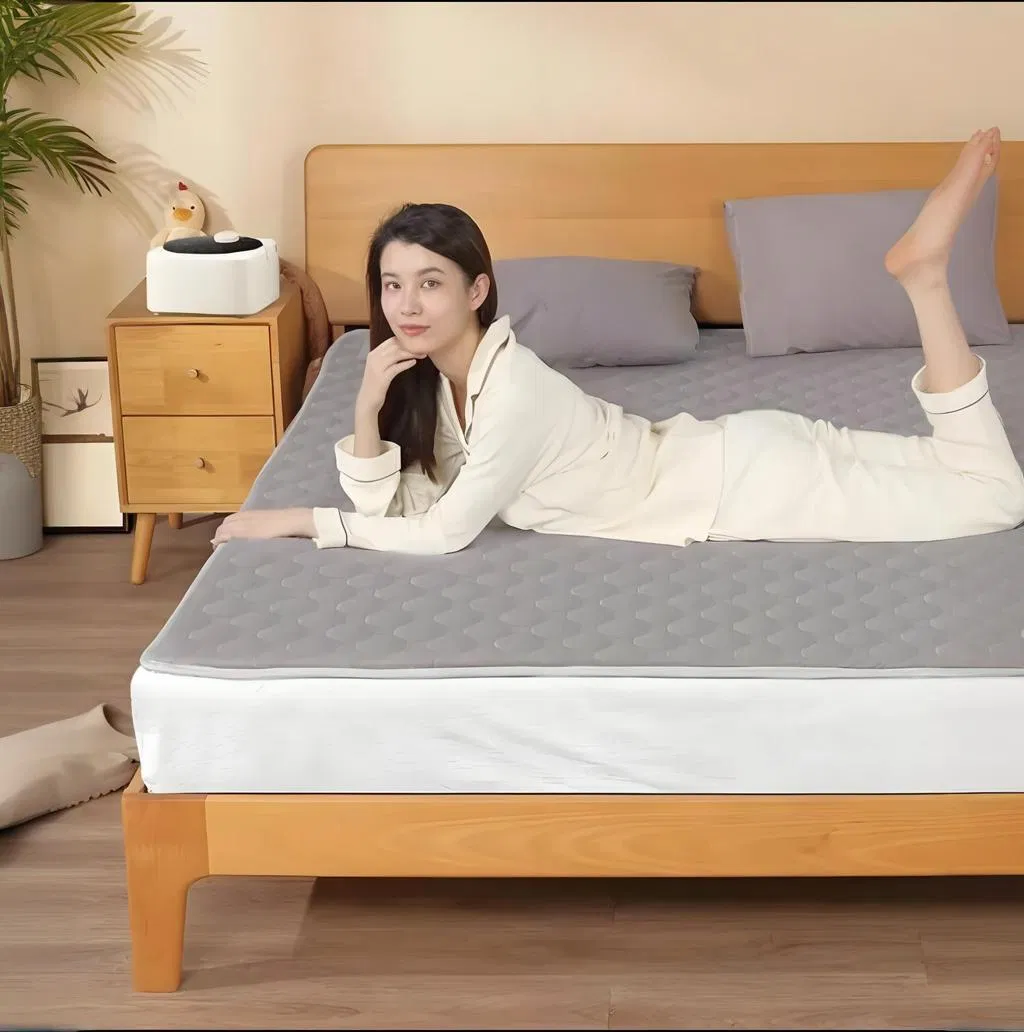1688 China OEM for Bed Auto Shut-off Best Water Mattress Silent Electric Water Heating Blanket
