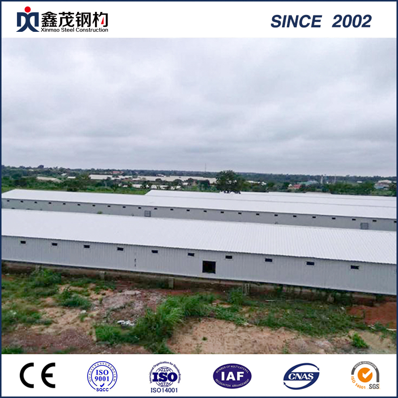 Light Steel Structure Agriculture House for Feed Mill / Livestock Farm /Coldroom