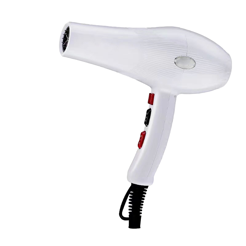 New Design Factory High Power Hair Dryer Negative Ion