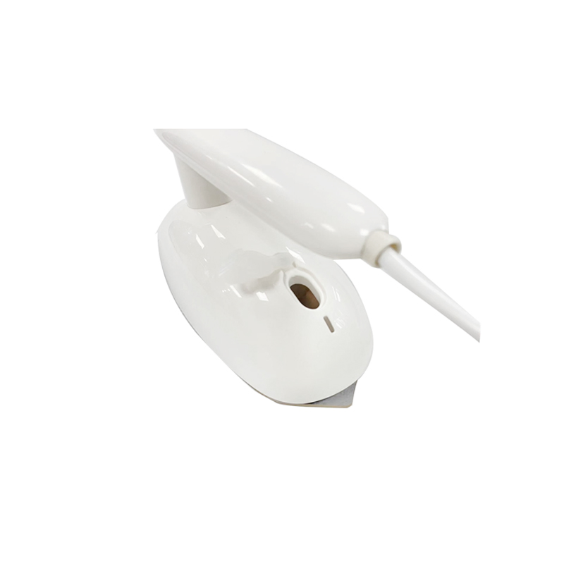 Garment Steamer Micro Steam Iron for Home Business Traveling