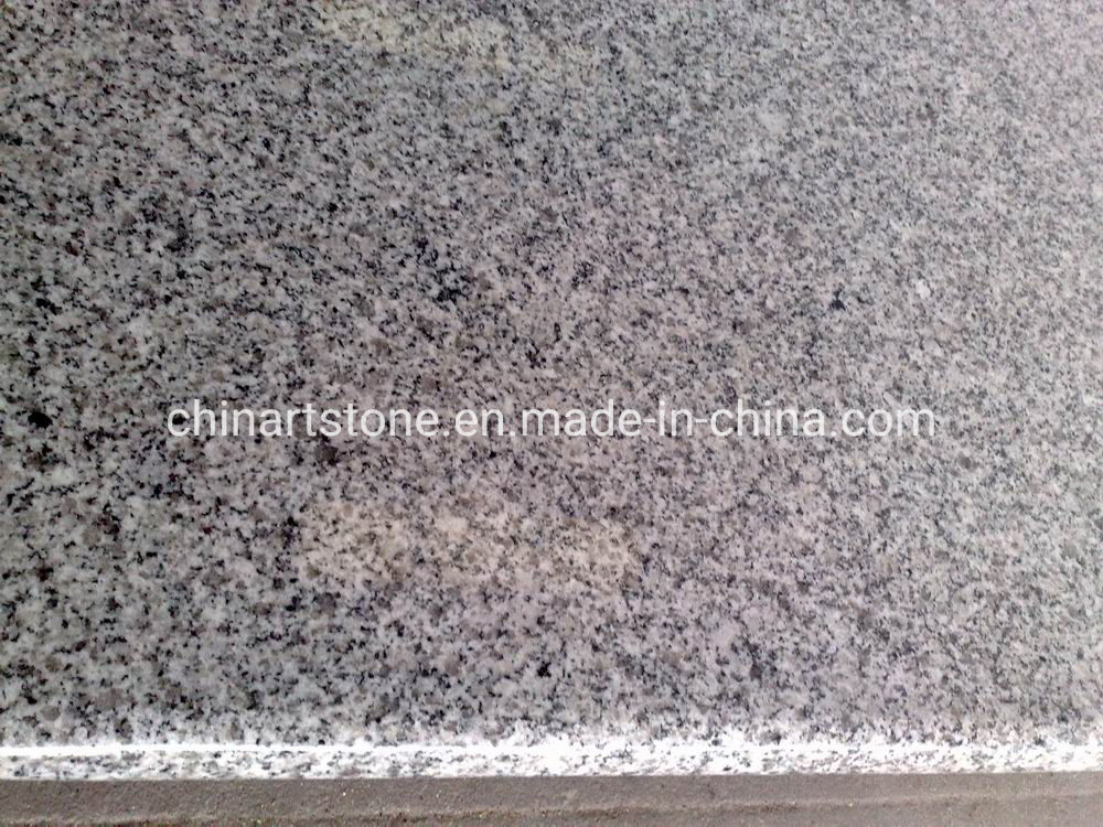 Chinese G603/G623 White Granite Countertop for Europe Market