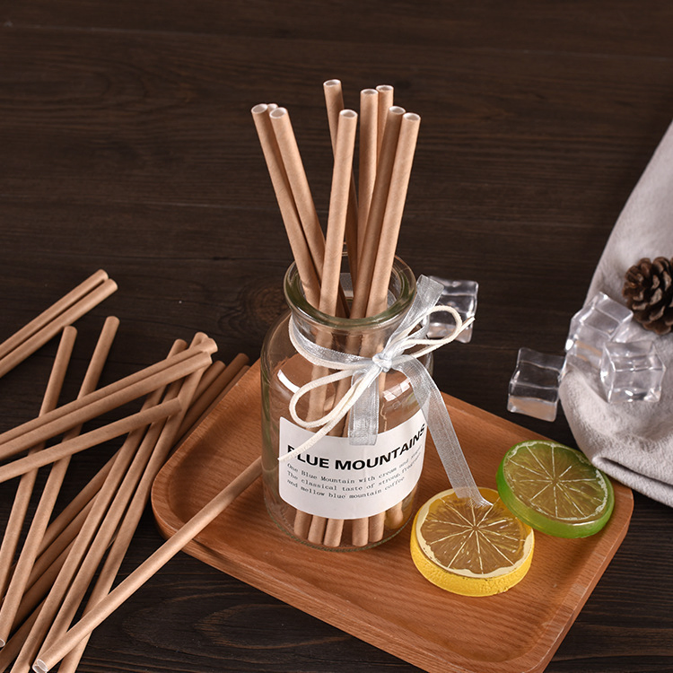 Individual Paper Wrap Biodegradable Compostable Eco Friendly Paper Straws