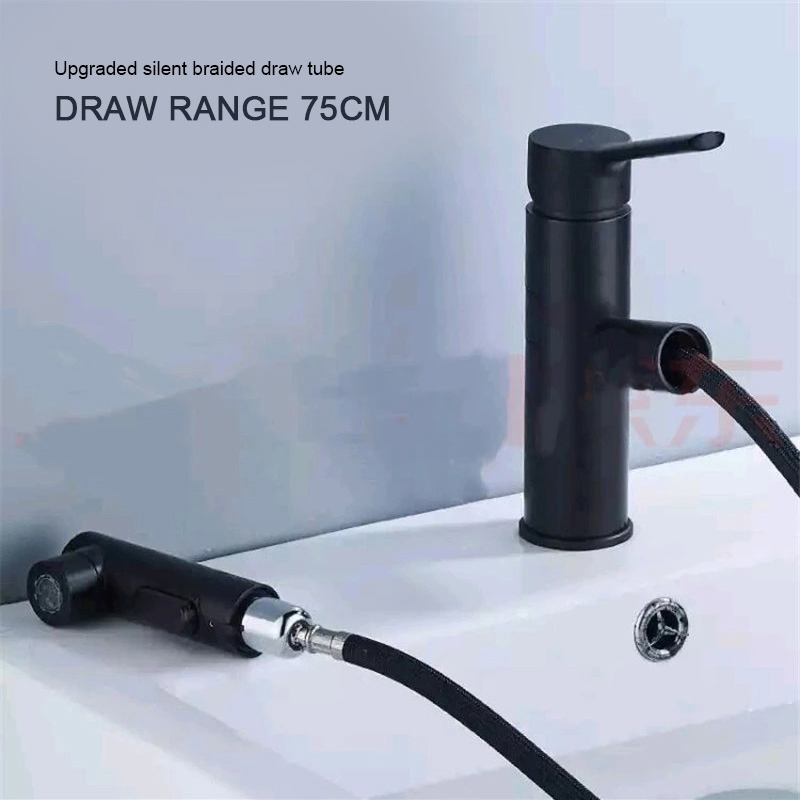 Black Matte Double Outlet Wash Basin Brass Basin Multifunctional Mixers Taps Faucet 2 Holes Kitchen Pull out