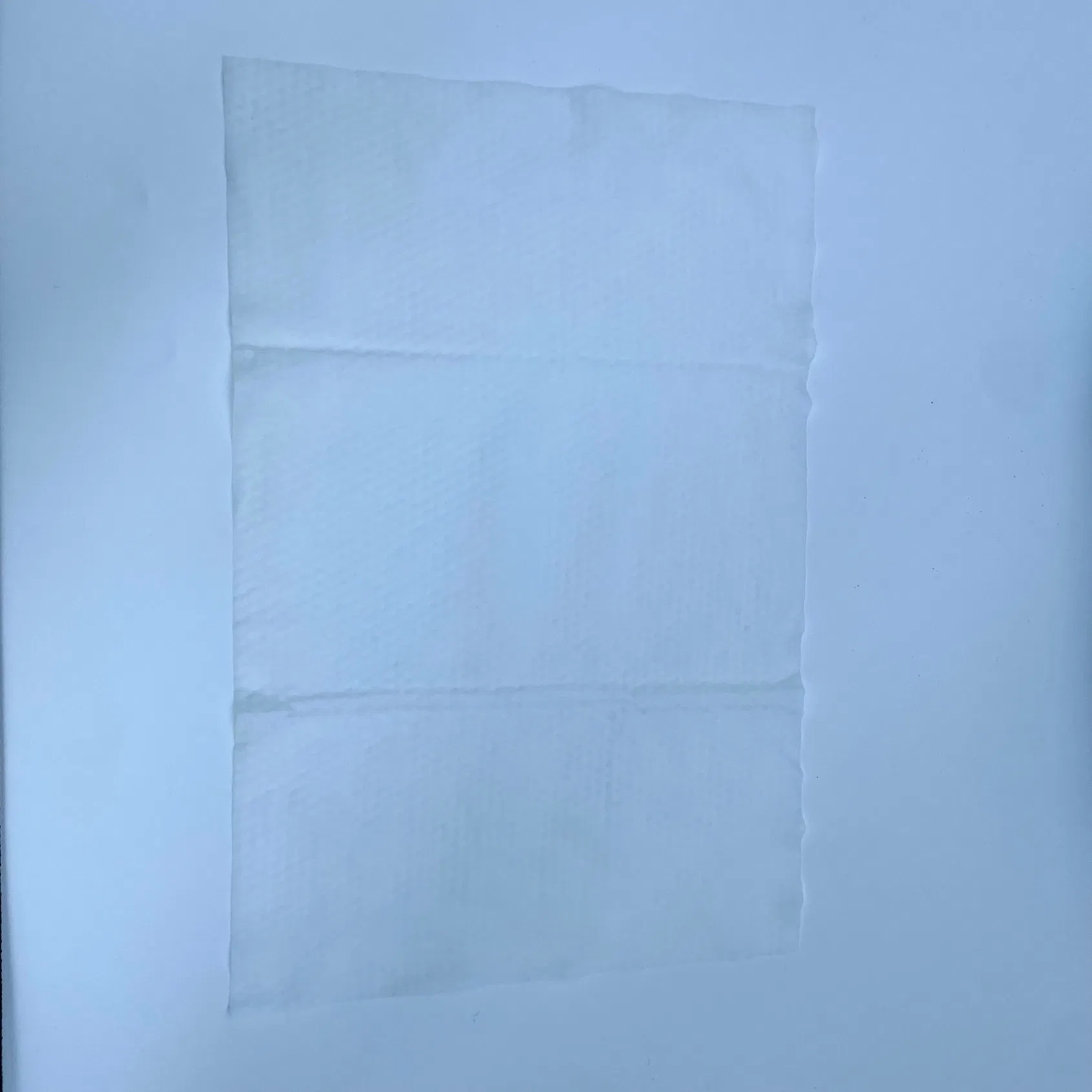 Premium Organic Aloe Vera Water Wipes for All Skin Types