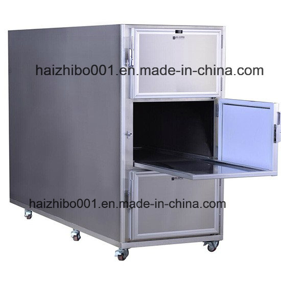 Unique New Designing Mortuary Corpse Refrigerator (SKU: HP-CR3N)