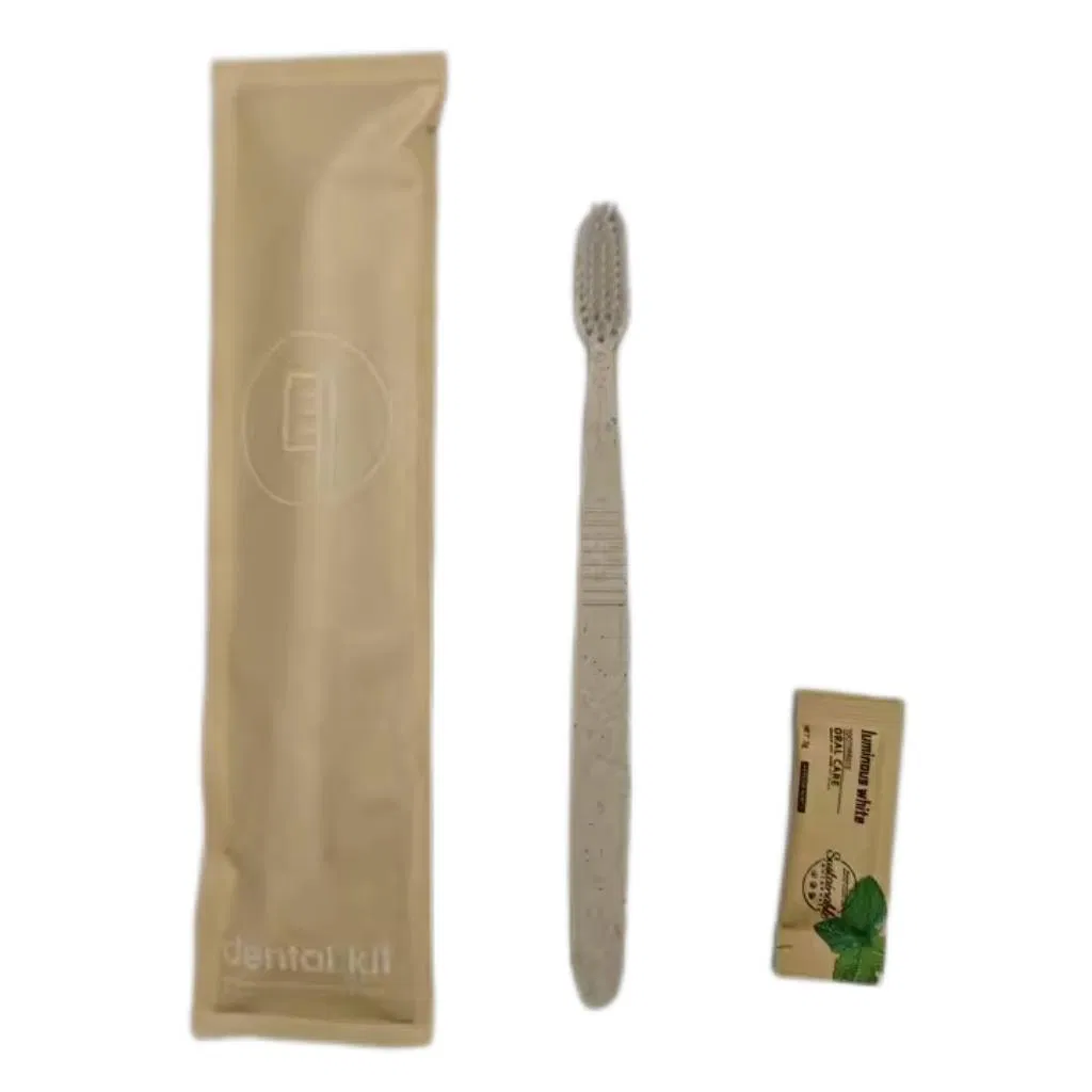 Wholesale Cheap Individually Packaged Disposable Hotel Toothbrush with Toothpaste