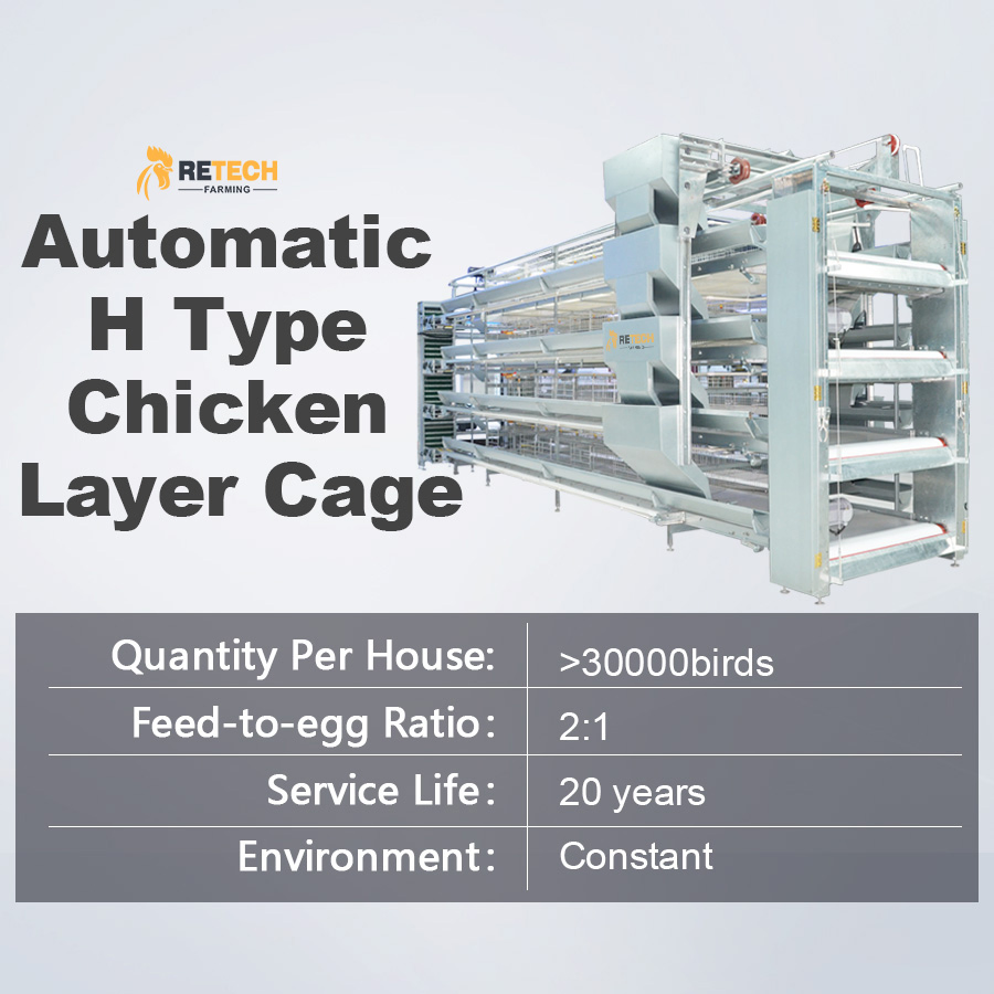 Direct Factory Supplies Steel Structure Prefab House Chicken Farm Poultry Shed