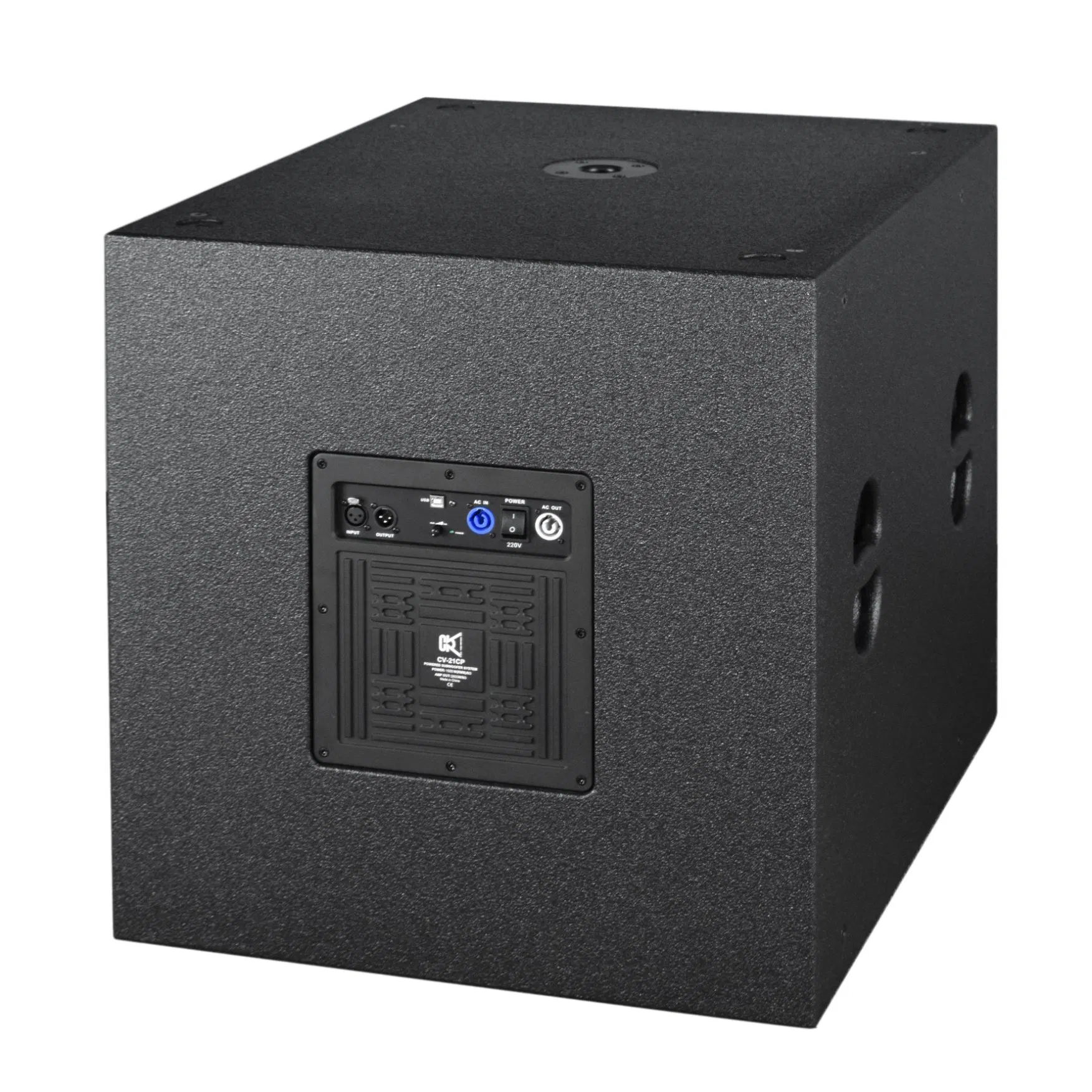 Cvr 21 Inch Subwoofer Speaker Professional
