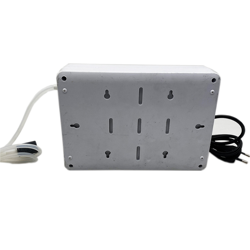 220V2000mg Factory Price Water Treatment Equipment Ozone Generator Machine for Fruits and Vegetables Disinfection Pest Removal