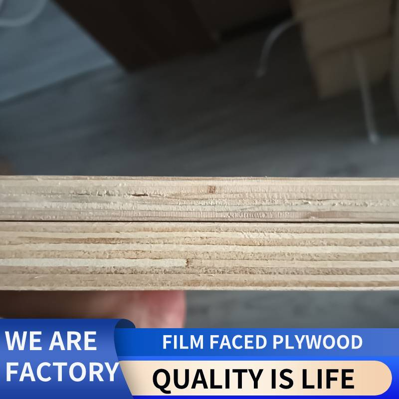 Certified F17 Film Faced Plywood 1200X1800X17mm Black Dynea Film