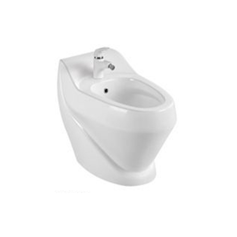 Chadna High-End Bidet Bathroom Floor Mounted Water Closet Ceramic Wc Toilet Bidet