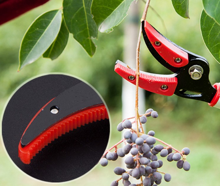 Garden Tools Metal Grape Scissors Pruning Shears with Low Price