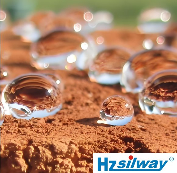 Octylsilane Hydrophobic Agent as Waterproofing for Masonry Surface Silway 744