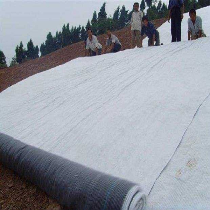 Bentonite Geosynthetics Clay Liner Gcl for Landfills/Lagoons/Canals/Tank Lining/Fish Farm/Pond