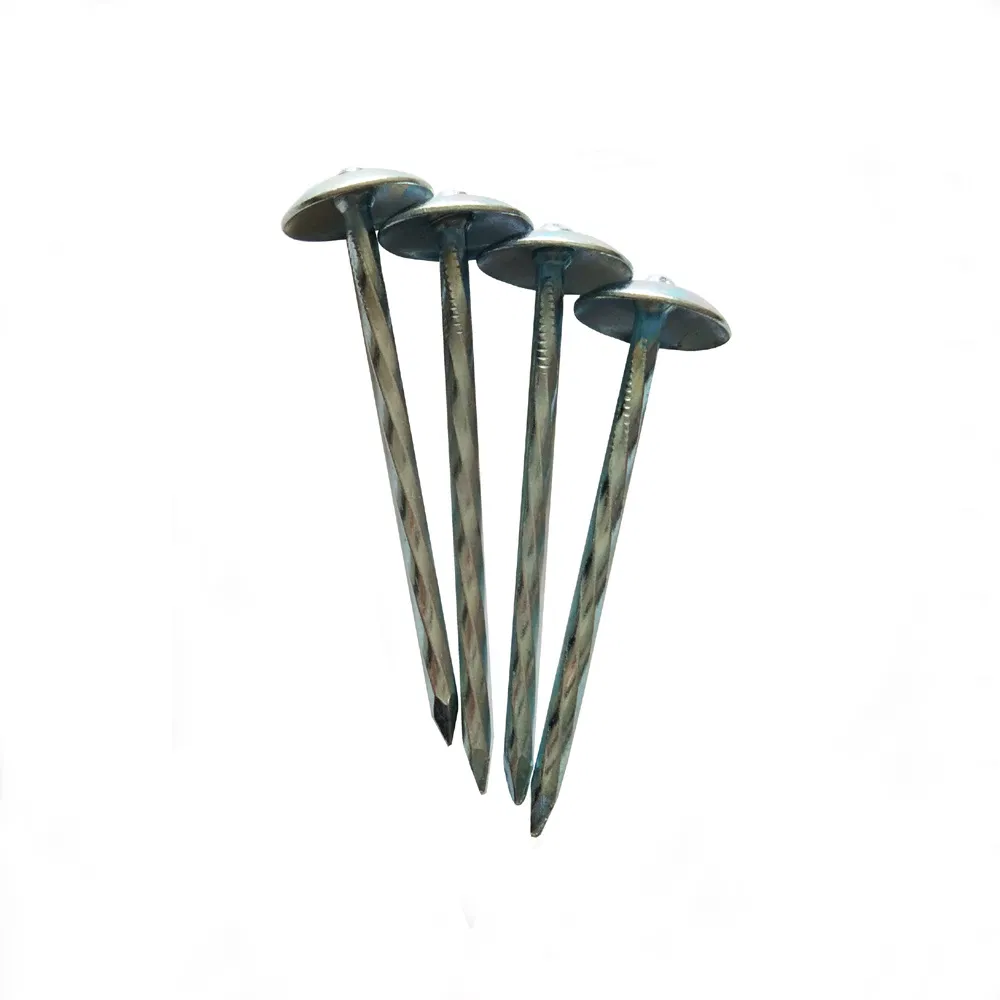 Chinese Manufacture Q195 Steel Umbrella Head Roofing Nail