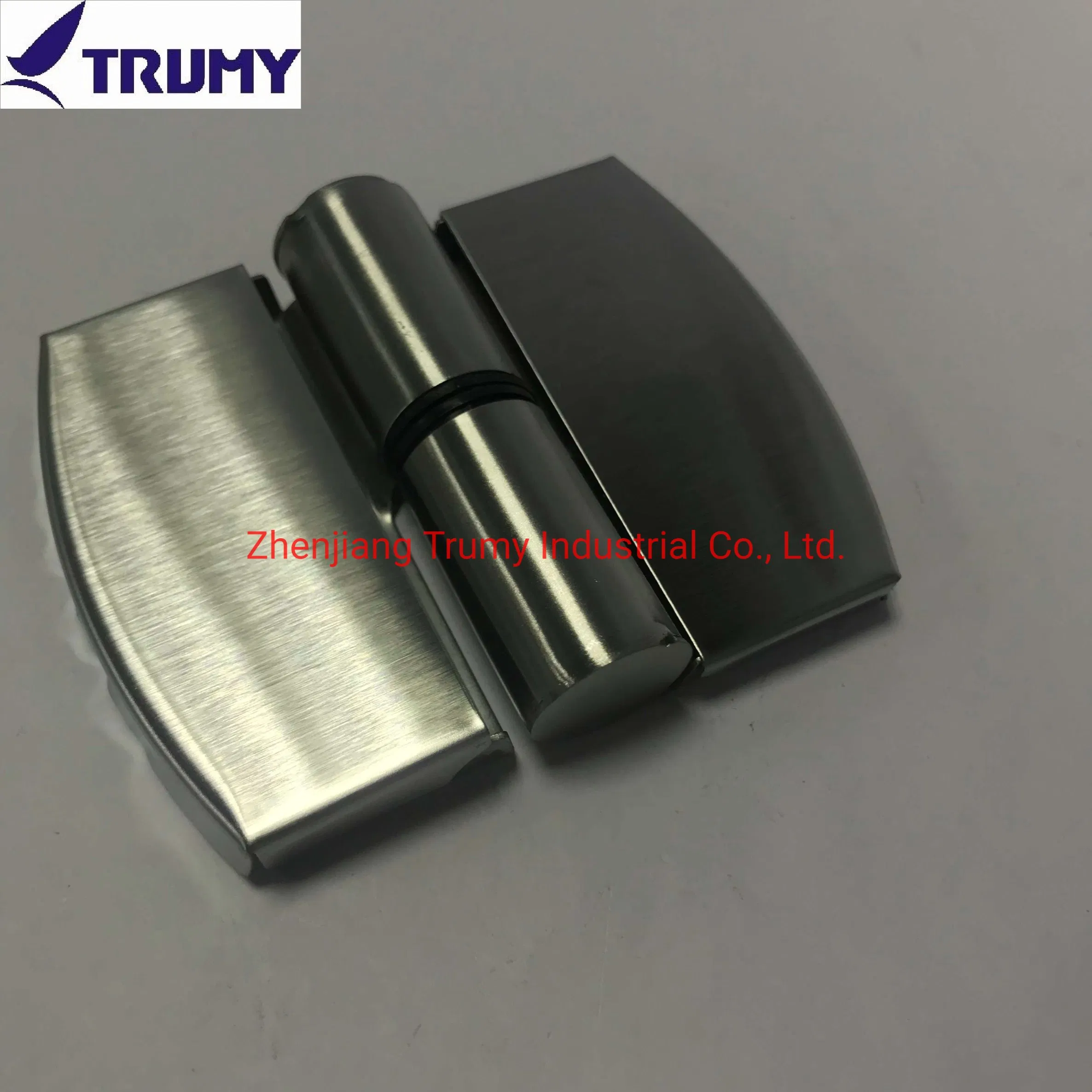 Zinc Alloy Toilet Cubicle Partition Hardware Door Hinges for Sales
