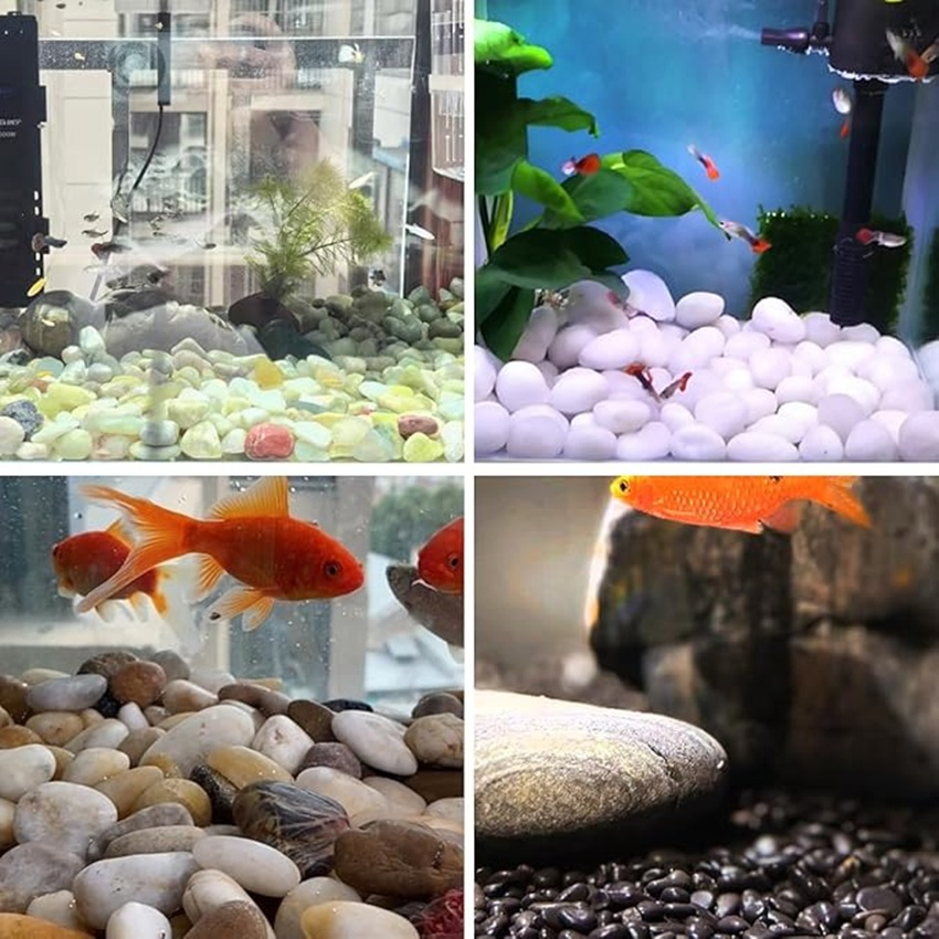 1-3cm White Natural River Rocks Ideal for Fish Tank & Vases & Crafting White