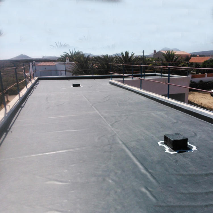 Hot Sale High Strength and Flexibility 0.75mm Thickness Geomembrane for Artificial Lakes and Landscape Ponds