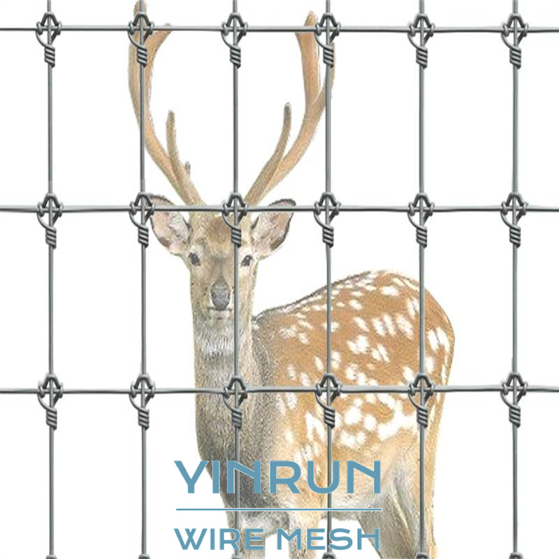 Free Sample Durable Fixed Knot Grassland Fence Deer Fence Stock Available