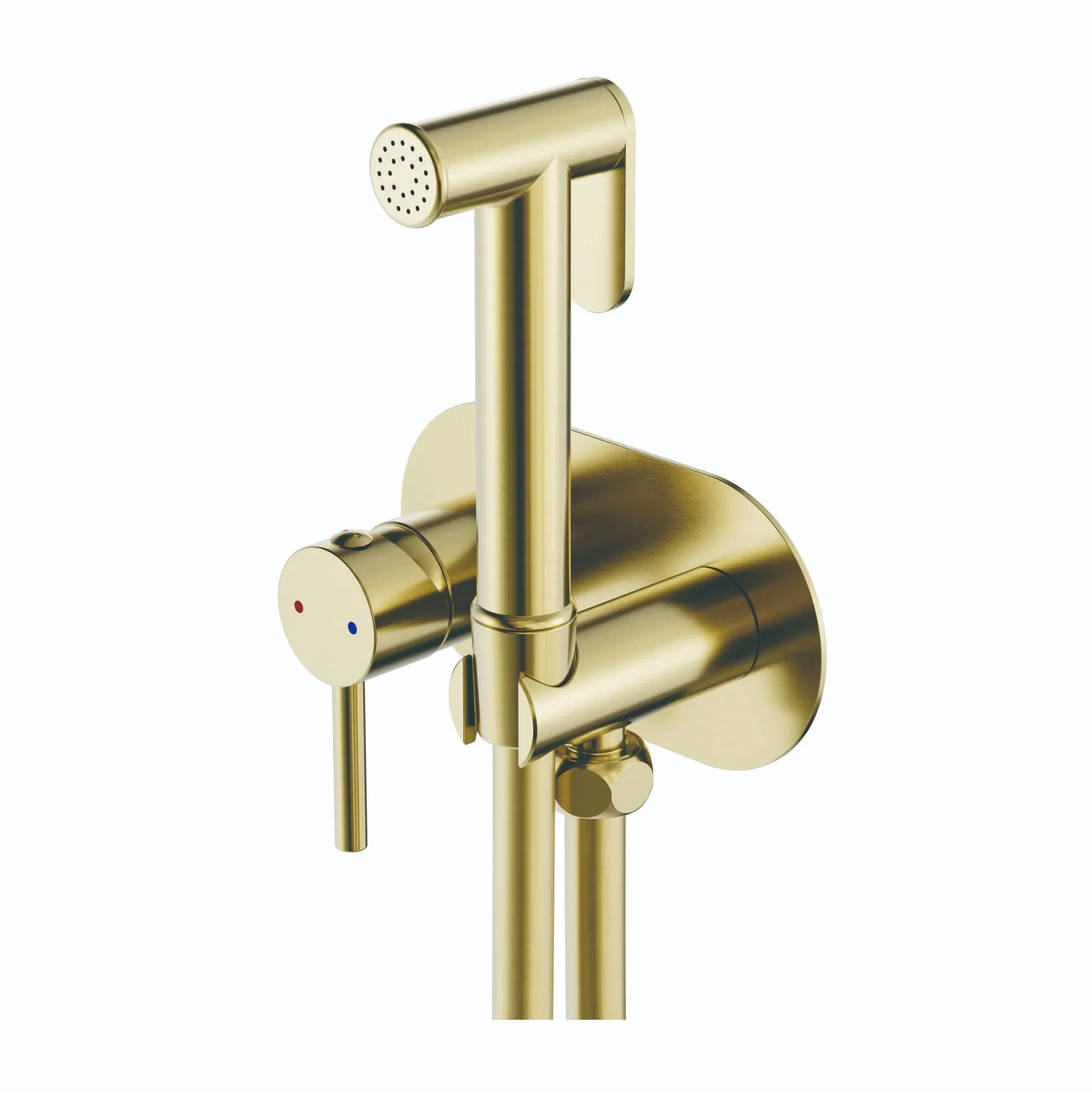 Concealed Brass and Ss Bathroom Bidet Faucet Hanldshower and Hose3335305b