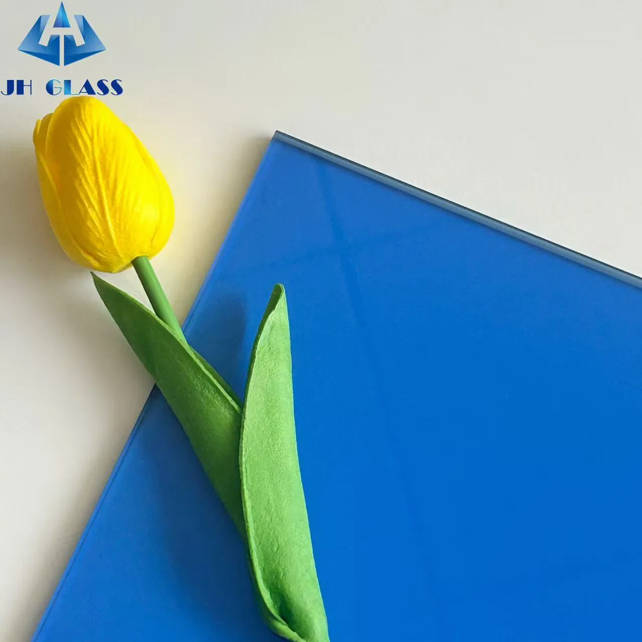 5mm, 6mm, 8mm, 10mm F Green/Black Tinted Glass for Door and Window