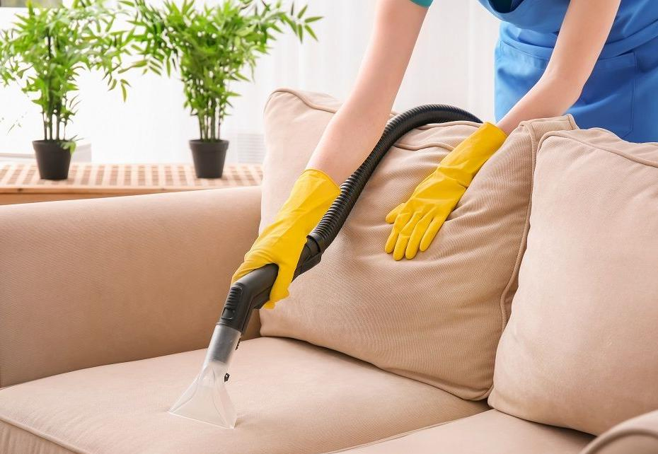 New Model Multi-Fuctional Wet Dry Vacuum Cleaner & Carpet Washer / 2 in 1 Vacuum Cleaner with 20L Plastic Tank (VC023)